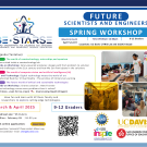 Flyer for BE-STARSE Junior Fellowship Workshop